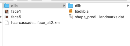 dlib_folder